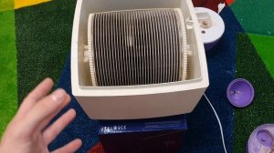 КАК ВЫБРАТЬ УЛЬТРАЗВУКОВОЙ УВЛАЖНИТЕЛЬ ВОЗДУХА ПЛЮСЫ И МИНУСЫ : ЛУЧШИЙ УВЛАЖНИТЕЛЬ 2020