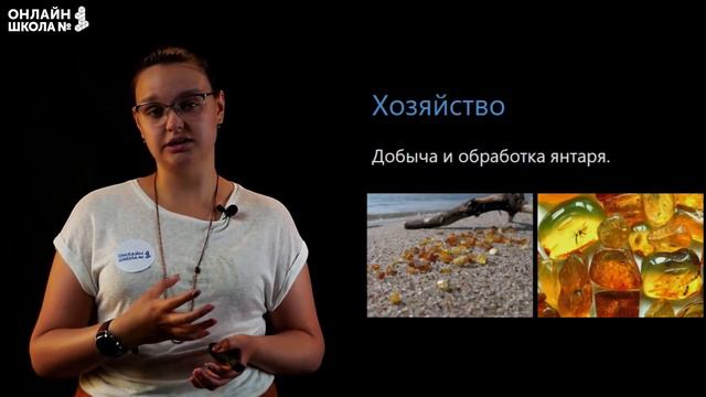 Калининградская область. Видеоурок 21. География 9 класс