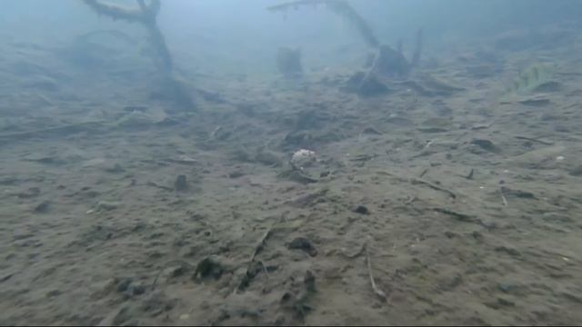 Когда вы думаете, что под вами нету рыбы и она не клюет. смотреть онлайн