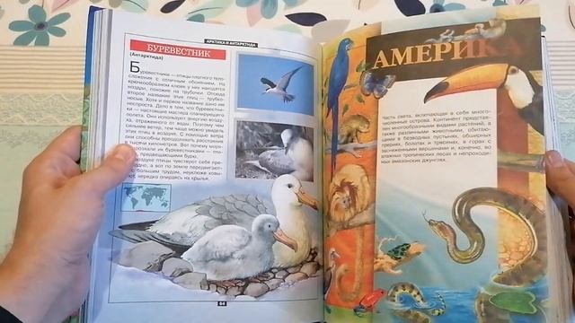 Большая энциклопедия. Животные