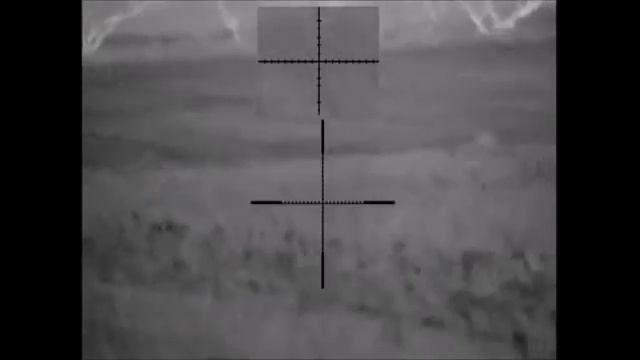 Добыл лису Тепловизор Pulsar Apex XD75 смотреть онлайн