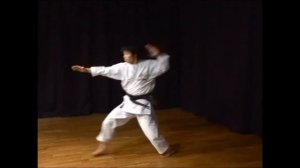 КАТА КАРАТЕ ЭКЗАМЕНАЦИОННЫЕ ПРАВИЛЬНОЕ ИСПОЛНЕНИЕ