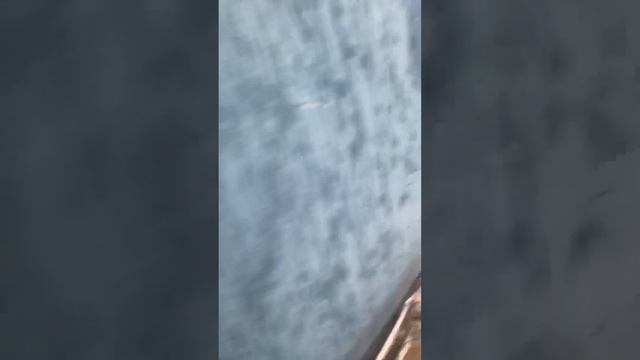 В разборе очередная ваз 2107 инжектор Авторазборка Механик г.Дзержинск 89092881160 смотреть онлайн