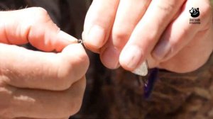 Малые реки Черноземья - 2022. Анонс. Канал Охотник и рыболов