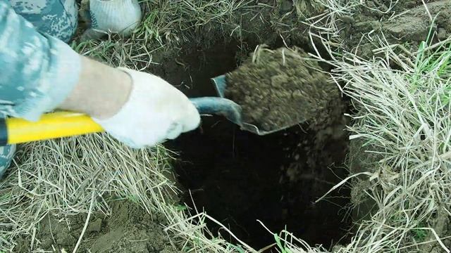 Поиск с металлоискателем.Копаем  Металл-Чермет и монеты.