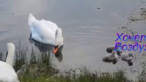 Август  ещё не осень