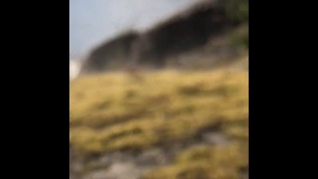 Как приходят идеи для BADGERS WOOD BOTANICA смотреть онлайн