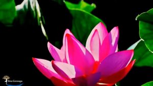 ❀ Мантра Счастья ❤ О, КАК ОНА ПРЕКРАСНА ❀