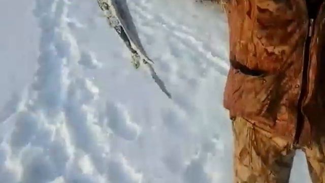 Рыбалка зима 2017 смотреть онлайн