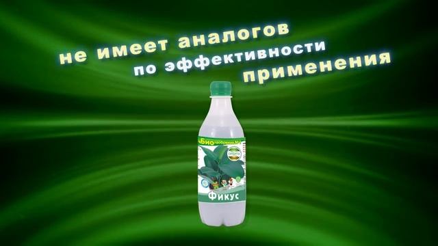 Эмбико   ФИКУС смотреть онлайн