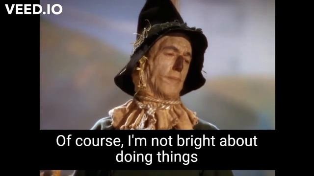 The Wizard Of Oz - Dorothy Meets The Scarecrow
