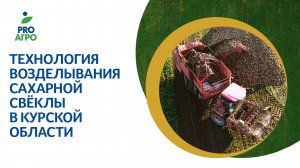Технология возделывания сахарной свёклы в Курской области.