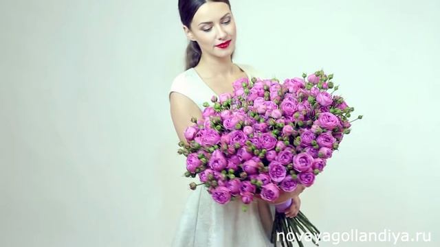 25 пионовидных роз Мисти Бабблс. смотреть онлайн