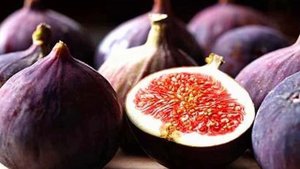 Зачем людям нужен инжир. Инжир - польза и вред для организма человека.
