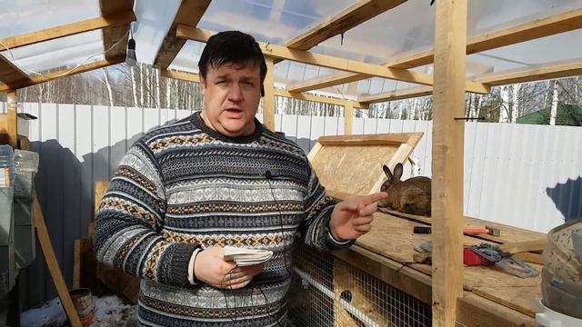 Кролики Миксы наконец то мне про них рассказали всю правду!!! смотреть онлайн