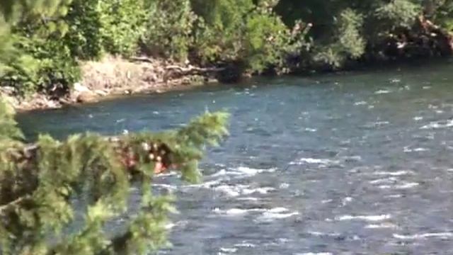 touros смотреть онлайн