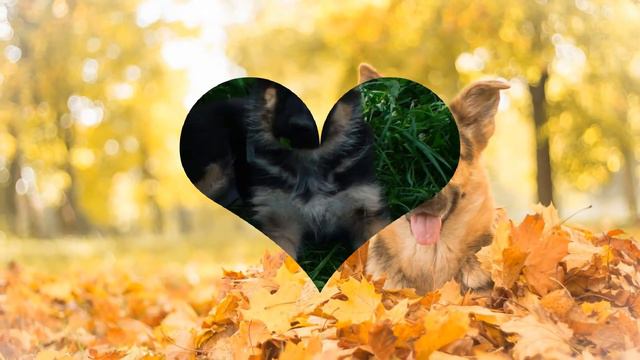 Мое первое видио смотреть онлайн