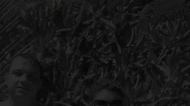 Тайланд симиланские острава смотреть онлайн