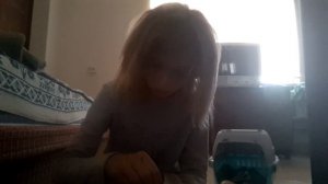 собираю собаку на море