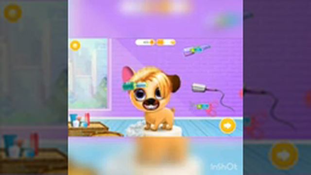 Салон красоты для наши животных))) очень интересно смотреть онлайн