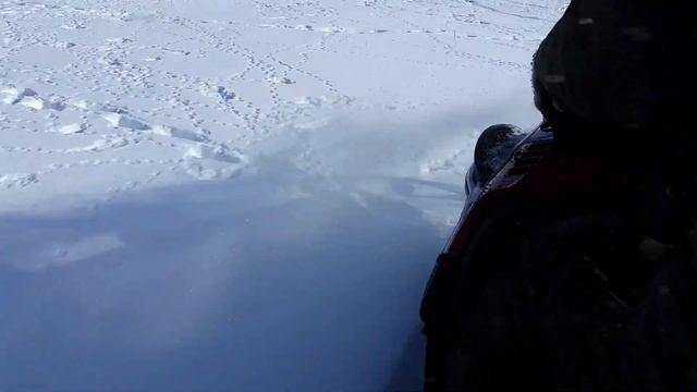 Прогулка по зимнему лесу смотреть онлайн