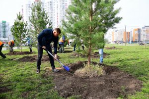 В рамках месячника санитарной очистки в сквере «Взлетный» высадили сосны, рябины, яблони и липы