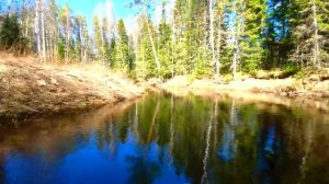 Ралли по Кия-Ю 2021