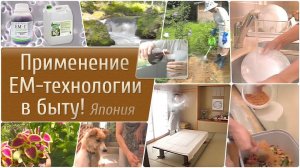 Применение ЕМ-технологии в быту! Япония