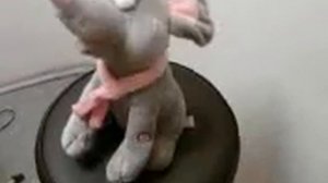 Поющий слон