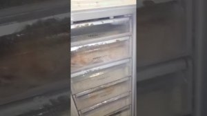 морозильник Бирюса 646 отзыв