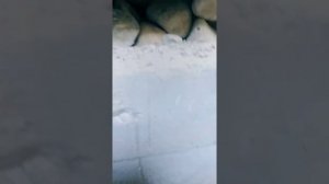 Септик для частного дома своими руками