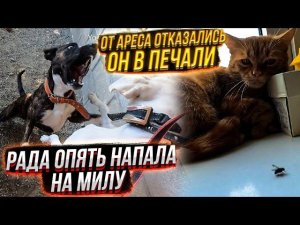 День  Милы! Что я нашла в Канаве? Позвонила в 112. Скорая,полиция.