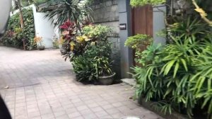 Сколько стоит жить на Бали? Убуд 2020.