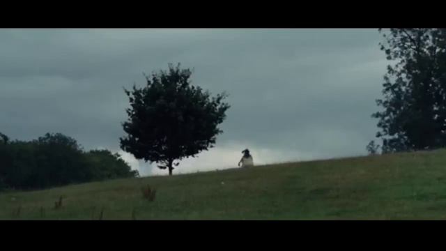 Бул ат алты жылдан кийин ээсин тааныды!(Боевой конь)#кыска #кыргызча #обзор смотреть онлайн