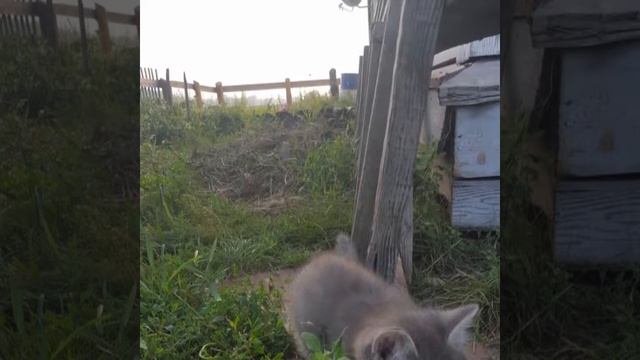 Мои самые лучшие фотографии! ! ! ! ! ????? смотреть онлайн