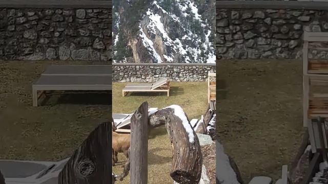 QC Terme Bormio Bagni Vecchi STAMBECCHI