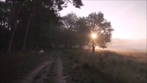 Анекдот про охоту на ЛОСЯ (про охоту)( Юмор - 2022 )