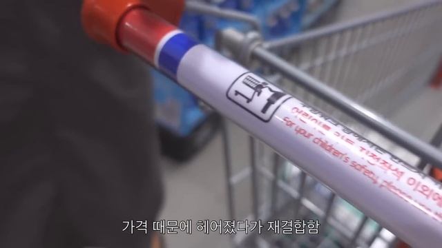 ENG) 자취 브이로그ㅣ코스트코 다녀와서 엽떡 마라떡볶이 먹기ㅣ냉장고 털어 집밥 요리하는 일상ㅣ불닭볶음우동, 구운주먹밥, 베이컨대파볶음밥, 고추장달걀조림, 갈비탕, 삼각지핫플 смотреть онлайн