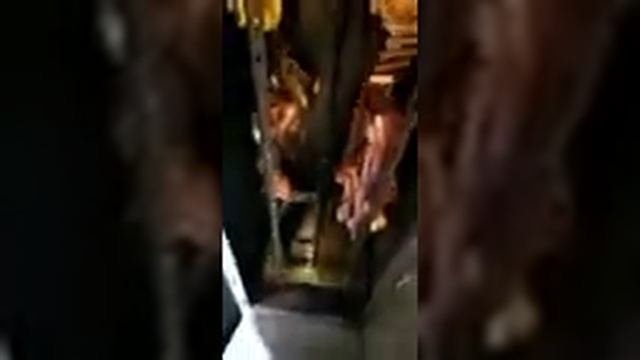 Электростатическое копчение конины отзыв