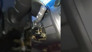 Rezolvare (fix) Steering locked/not locked Renault Megane 2 w/english CC