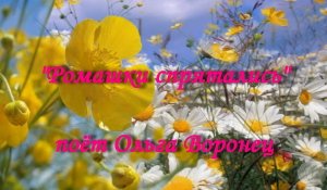 Ромашки спрятались
