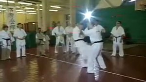 ашихара карате