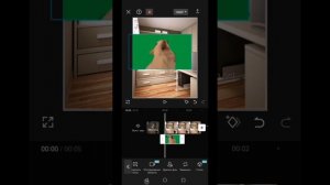 Туториал на то как удалить зелёный фон в капкут 💚