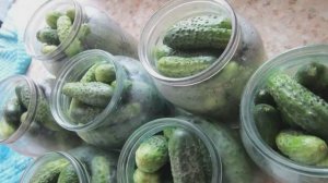Хрустящие огурчики на зиму