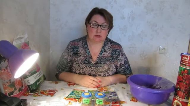 Сажаю розы, хосты, ягоды Годжи !!! смотреть онлайн