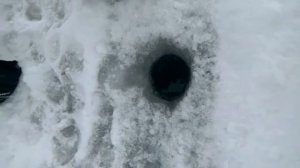 Камское устье затон)