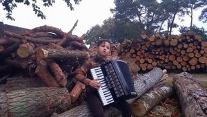 "АХ, ЖУРАВЛИ, ЖУРАВЛИ..."//🎹АККОРДЕОН🎹