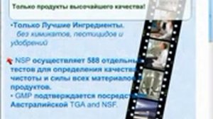 NSP это ваша возможность! Презентация Владимира Горбачёва mpeg4