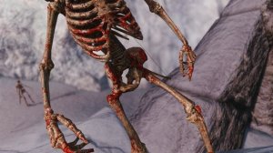 Skyrim SE Bloody Skeleton