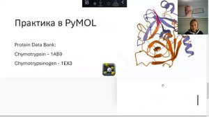 Урок 17. Химотрипсин с иллюстрацией в программе PyMol.